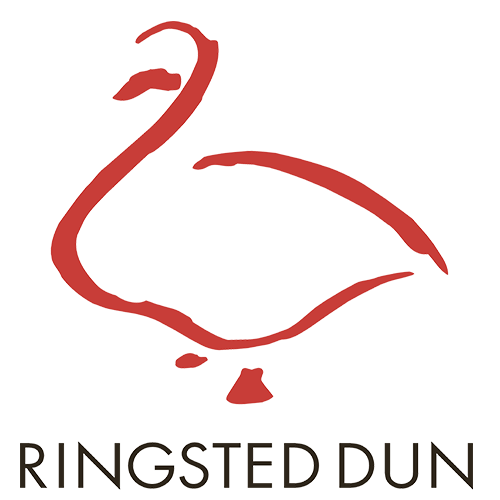 logo_ringsted_dun.png